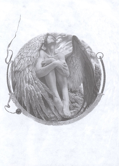 Чайка Джонатан Ливингстон