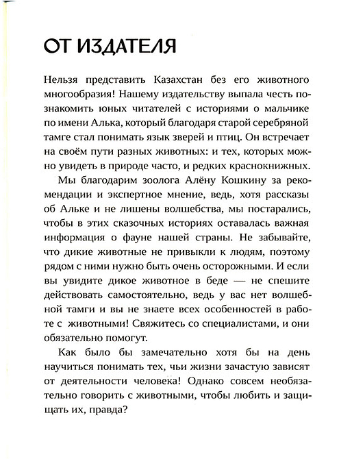 Серебряная тамга Альки / Әлканың күміс тұмары