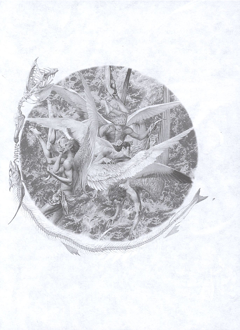 Чайка Джонатан Ливингстон